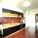 Rent 1 bedroom apartment of 170 m² in Praha