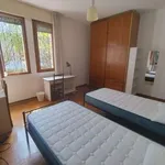 Rent a room in padua