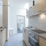 Rent 3 bedroom apartment in Praha 2