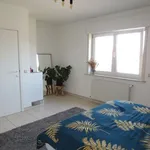 Rent 2 bedroom apartment in Teralfene