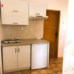 Rent 1 bedroom apartment of 28 m² in ratibor