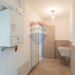 Porzione di casa in Affitto Viadana 33631032-78 | RE/MAX Italia