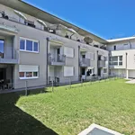 Rent 2 bedroom apartment of 43 m² in Graz