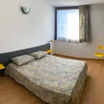 1-bedroom flat via Cacciatori delle Alpi 7, Centro, Bormio