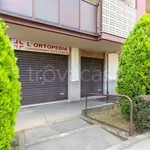 Rent 6 bedroom apartment of 110 m² in Orbassano