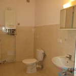 Rent 1 bedroom apartment in Jablonec nad Nisou