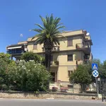 Rent 2 bedroom apartment of 55 m² in Roma