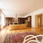 Rent 3 bedroom apartment of 160 m² in Prague