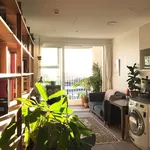 Rent 1 bedroom apartment in Albert-Eden