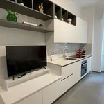 Rent 1 bedroom apartment of 50 m² in milan