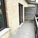 Rent 2 bedroom apartment in Brasschaat