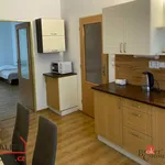 Rent 1 bedroom apartment in Hradec Králové