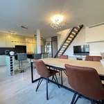 Rent 1 bedroom apartment in Antwerpen