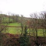 Rent 1 bedroom flat in Wales