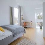 Rent a room in hamburg