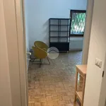 Affitto 1 camera appartamento di 20 m² in Roma