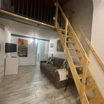 Rent 2 bedroom apartment of 50 m² in Turin