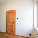 Rent 3 bedroom apartment of 73 m² in Zlín