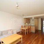 Rent 3 bedroom apartment of 115 m² in Capital City of Prague