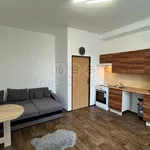 Rent 1 bedroom apartment in Přerov