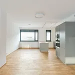 Rent 5 bedroom house of 217 m² in Capital City of Prague