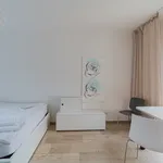 Rent 3 bedroom apartment of 75 m² in Berlin