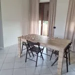 Rent 3 bedroom apartment of 65 m² in Verona