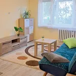 Rent 2 bedroom apartment of 42 m² in Kielce