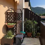 Rent 2 bedroom apartment of 50 m² in Iseo