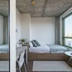 Rent 1 bedroom apartment in barcelona