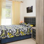 Alquilar 4 dormitorio apartamento en Barcelona