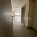 Rent 3 bedroom apartment of 110 m² in Cagliari