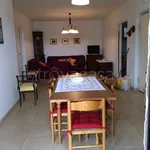 Rent 4 bedroom apartment of 110 m² in Pineto