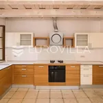 Rent 5 bedroom house of 350 m² in Zagreb