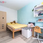 Rent 3 bedroom apartment of 87 m² in Trhový Štěpánov