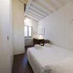 Rent 1 bedroom apartment of 50 m² in Florence