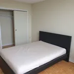  appartement avec 1 chambre(s) en location à Toronto