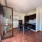 Rent 1 bedroom apartment of 40 m² in Mondovì