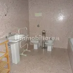 Rent 3 bedroom apartment of 110 m² in Padua