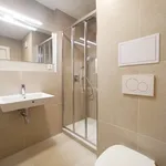 Rent 2 bedroom apartment of 56 m² in Zlín