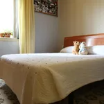 Alquilar 3 dormitorio apartamento en Barcelona