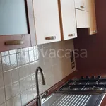 Rent 2 bedroom apartment of 36 m² in Torino