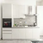 Rent 1 bedroom apartment of 60 m² in bologna