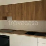 Rent 3 bedroom apartment of 97 m² in Torino