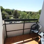 Rent 1 bedroom apartment of 30 m² in Nuremberg