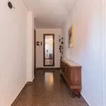 Rent 2 bedroom apartment of 100 m² in valencia