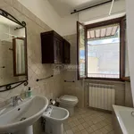 Rent 3 bedroom apartment of 100 m² in Viareggio