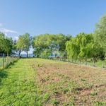 Single family villa via Settevene Est, Trevignano Romano