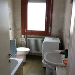 Appartamento arredato con terrazzo Centro