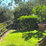 Rent 2 bedroom house of 50 m² in Santa Margherita Ligure